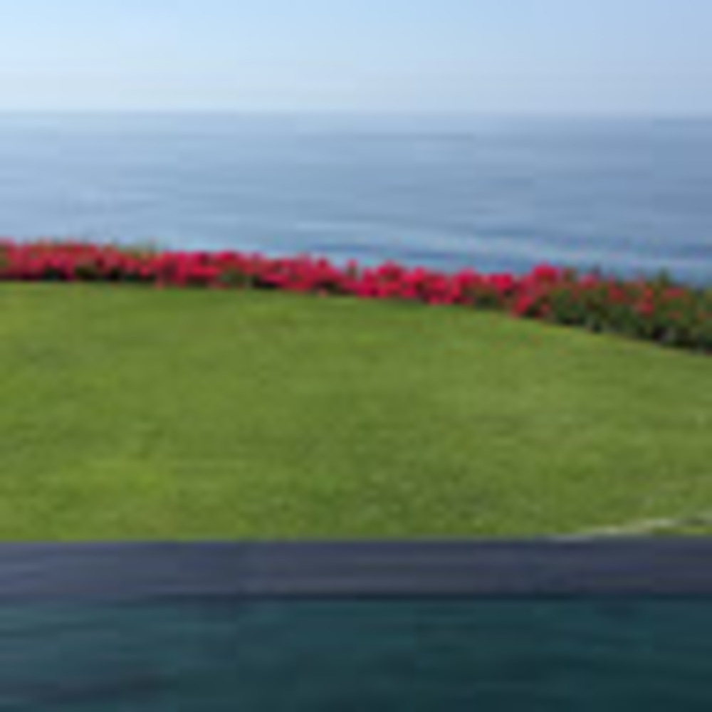 Meet your Posher, Dmitri